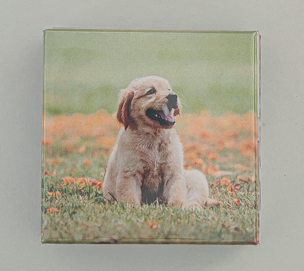 Personalised Photo Fridge Magnet - Custom 50mm Square Magnet