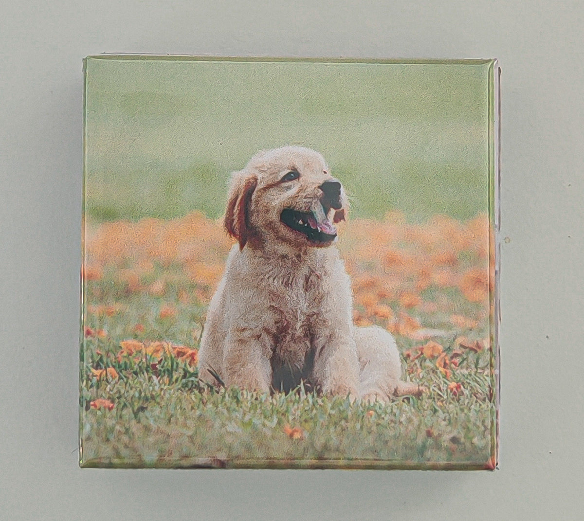 Personalised Photo Fridge Magnet - Custom 50mm Square Magnet